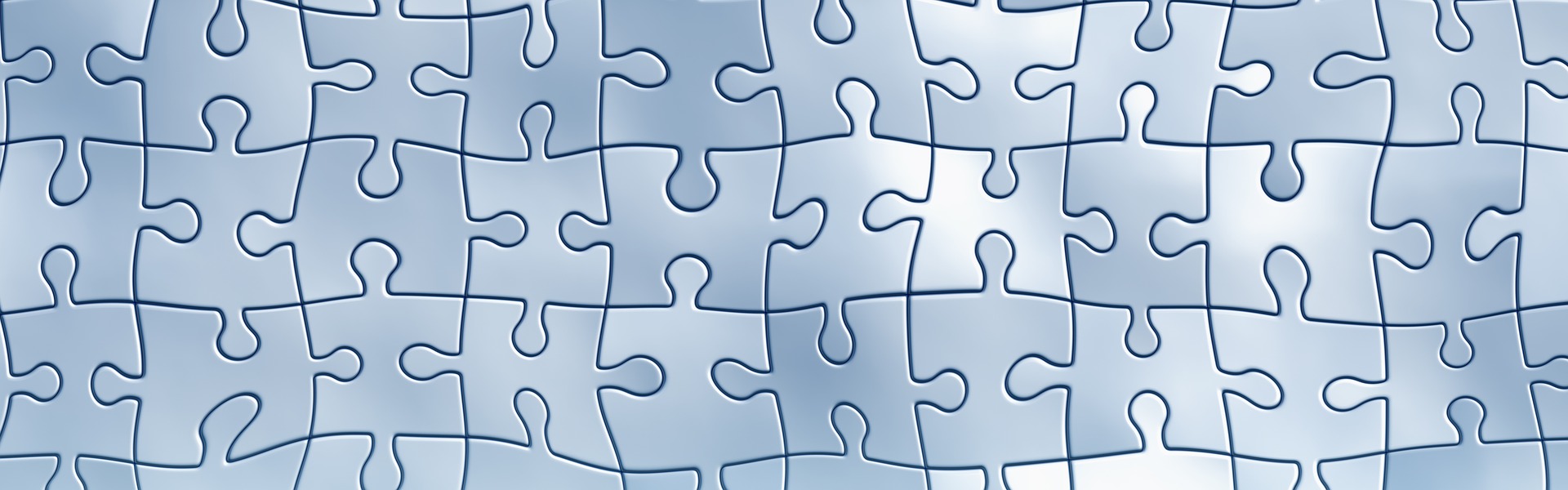 Puzzle Picture for JCCI Blog Page