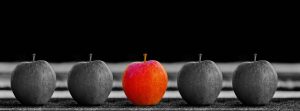 Image of one red apple on a black and white photo of apples to illustrate the uniqueness of the Title III SIP grant.